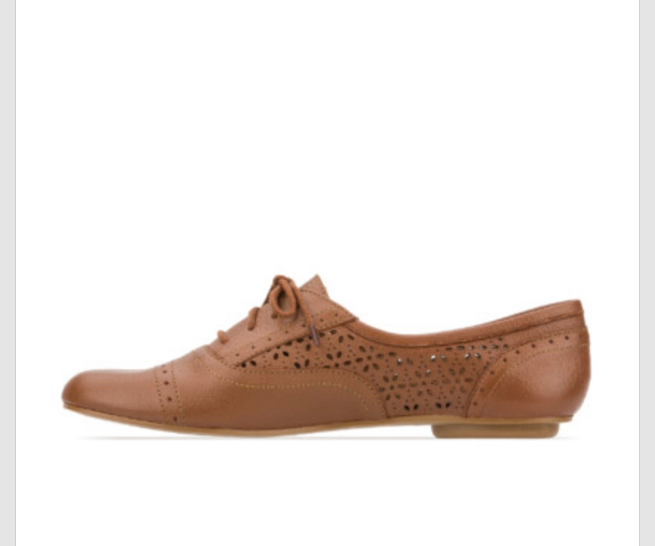 Zapato para Dama